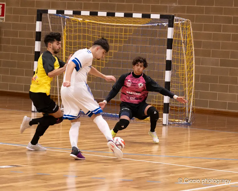 DSC 0106 2025 11 02T14 17 07 070