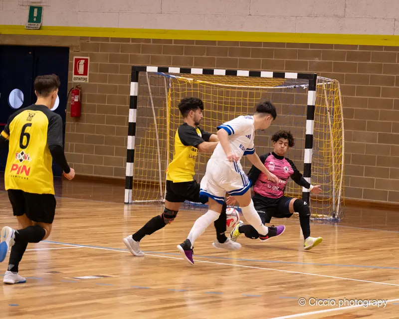 DSC 0107 2025 11 02T14 17 11 300