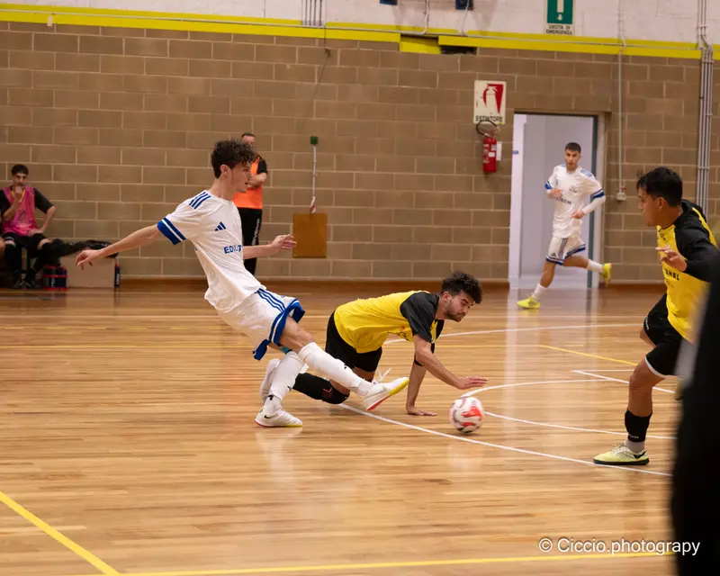 DSC 0135 2025 11 02T14 18 38 347