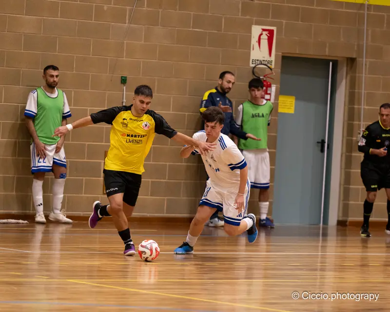 DSC 0311 2025 11 02T14 14 55 396