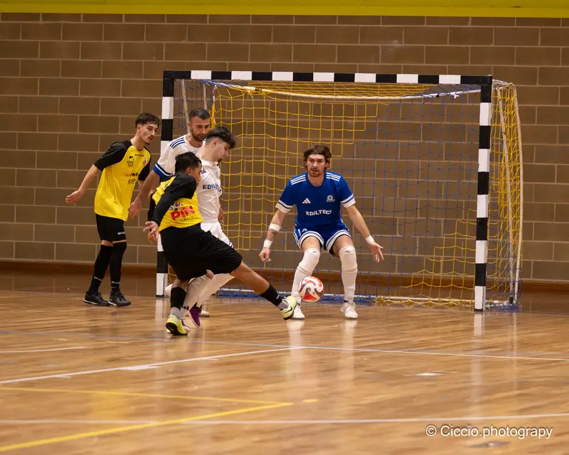 DSC 0410 2025 11 02T14 15 27 424